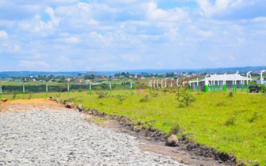 Nexus Estate Rongai