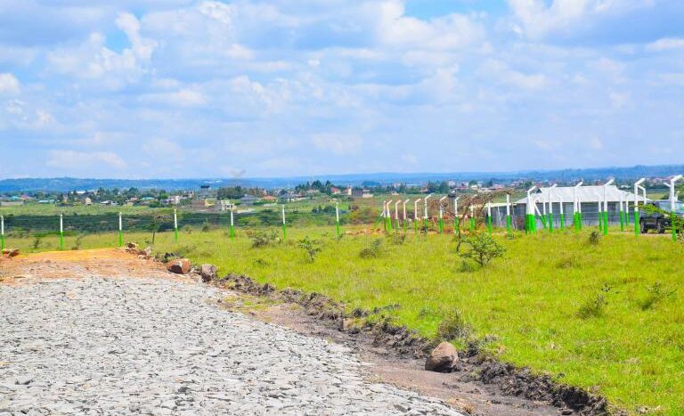 Juja Park Estate