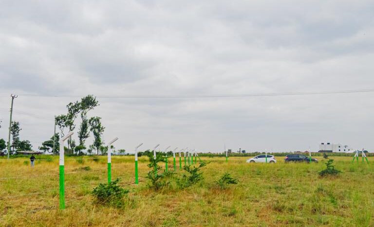 Juja Park Estate