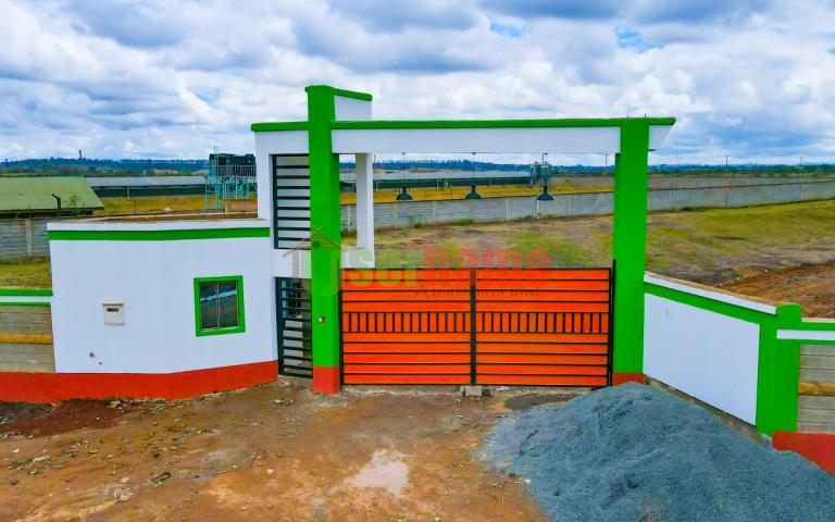 video image