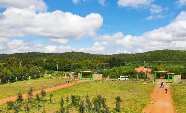 Jewel Estate Kikuyu