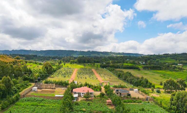 Jewel Estate Kikuyu