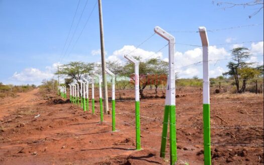 Ngong Sunrise Prime