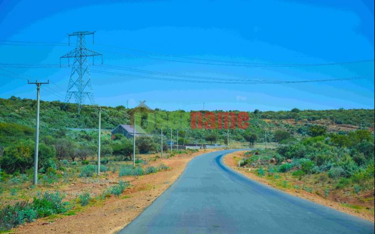 video image