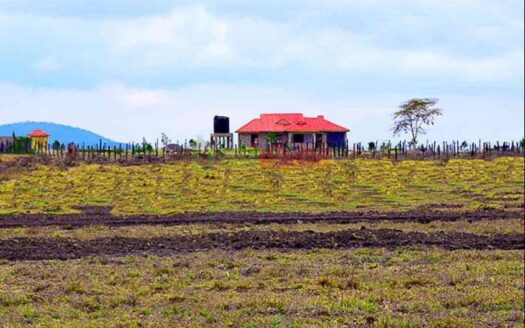 Selim Plains – Konza