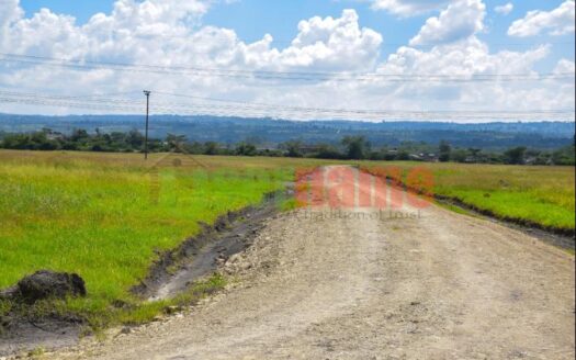 The Delight – Nakuru Phase 2