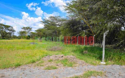 The Delight – Nakuru Phase 2