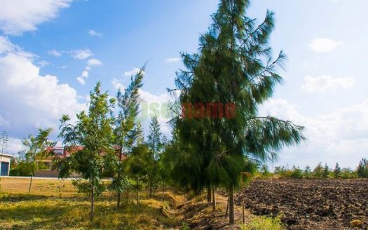 Woodcrest Estate-Athi River
