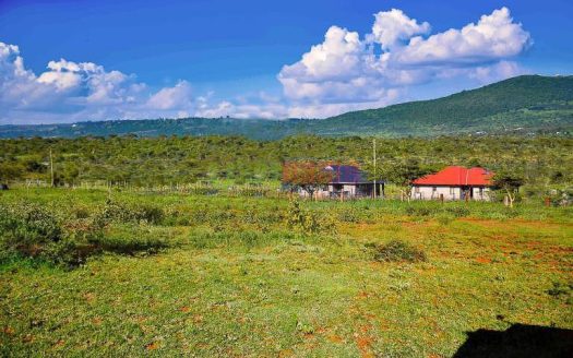Fountain Field – Ngong