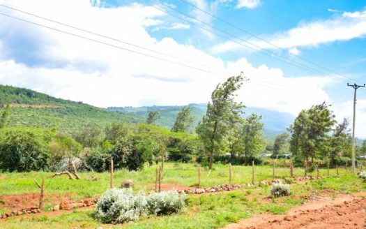 Ngong Crescent