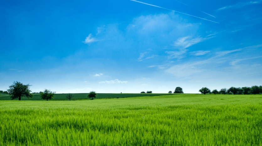 Username Investment Implements Affordable Housing Program