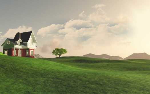 Between a House and a Plot: Which One Appreciates Faster?