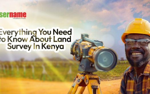 Everything You Need to Know About Land Survey