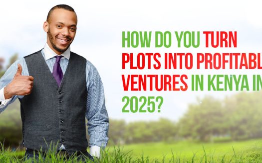 How Do You Turn Plots into Profitable Ventures in Kenya in 2025?