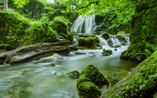 Step by Step on How to avoid Purchasing Riparian Land