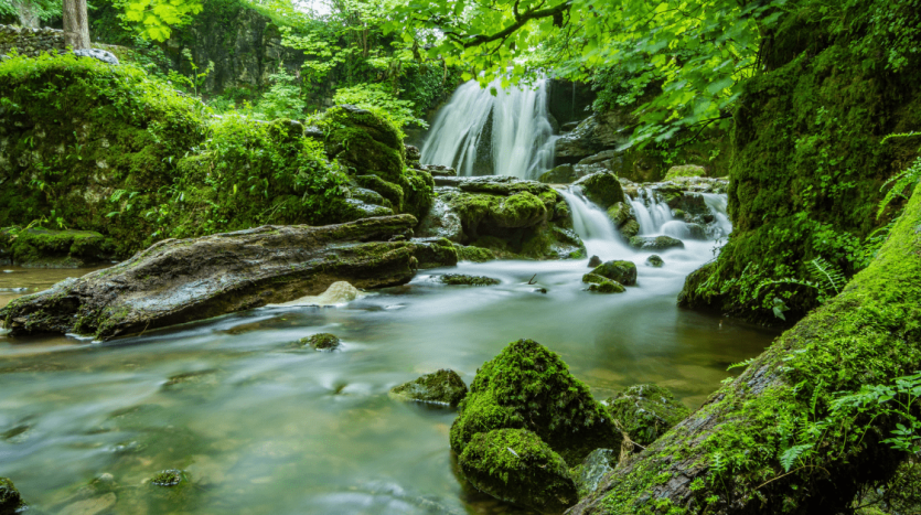 Step by Step on How to avoid Purchasing Riparian Land