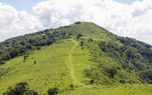 Why you need to Consider Investing in Ngong Area