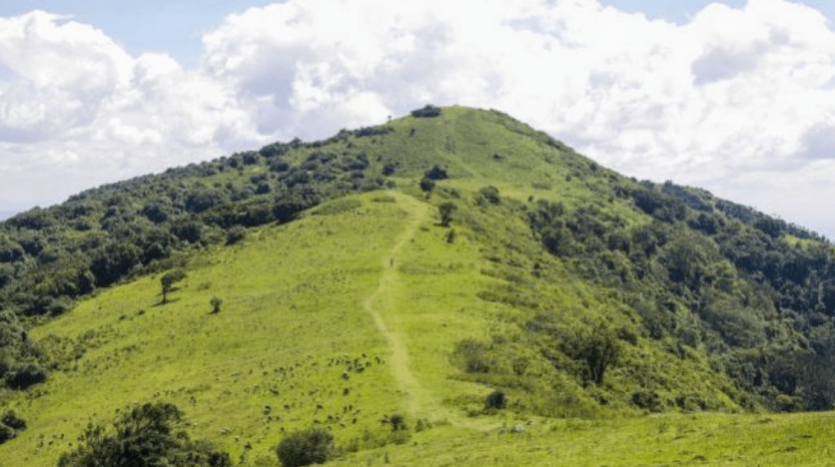 Why you need to Consider Investing in Ngong Area