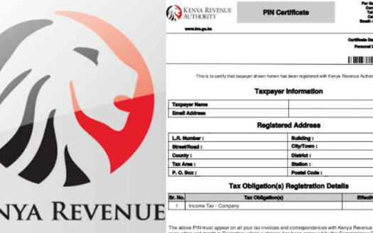 Reasons Why a KRA PIN is Useful When Buying Land
