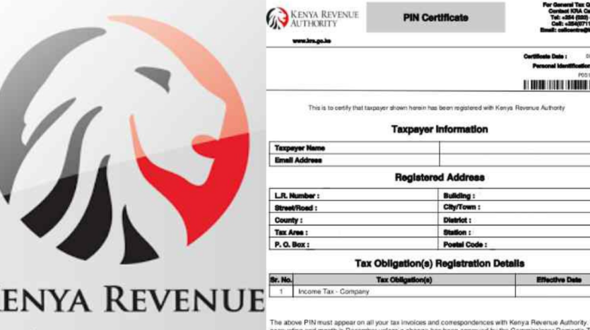 Reasons Why a KRA PIN is Useful When Buying Land