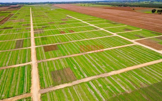 Is Land Banking in real estate Good for You? Important Benefits and Risks