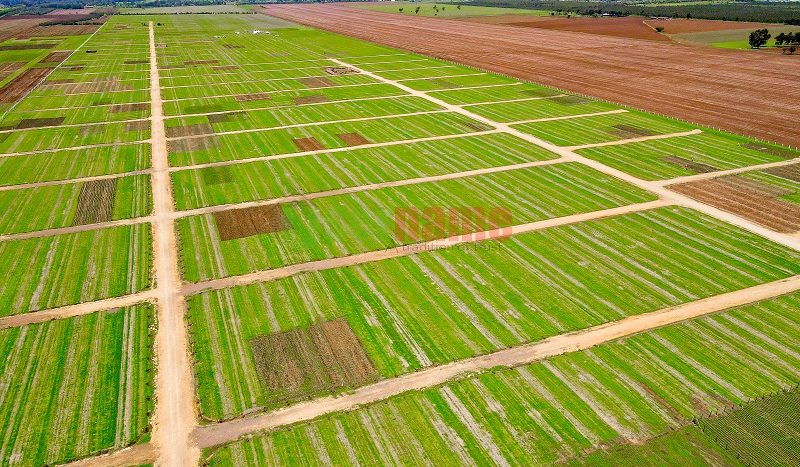 Is Land Banking in real estate Good for You? Important Benefits and Risks