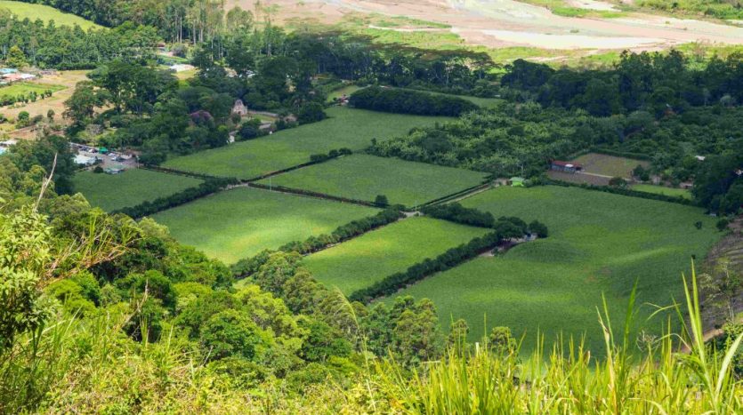 Land Subdivision in Kenya: A Complete Guide for Property Owners and Investors