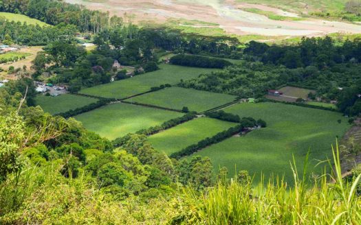 Everything You Need to Know About Land Subdivision
