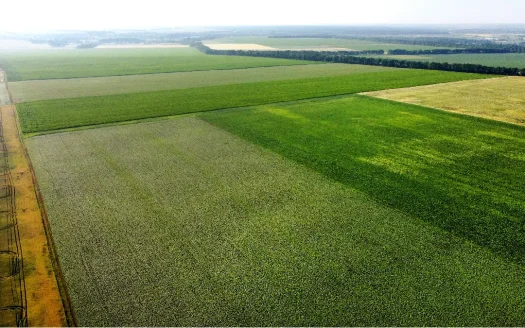 Types of land Surveys You Need to Be Aware Of