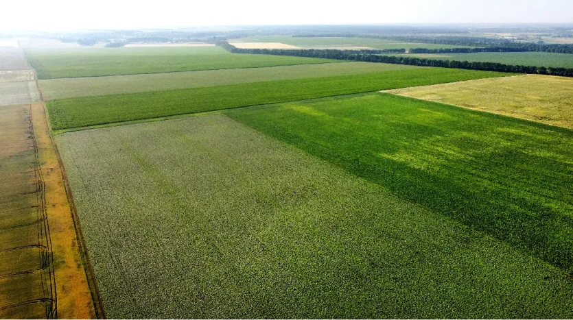 Types of land Surveys You Need to Be Aware Of