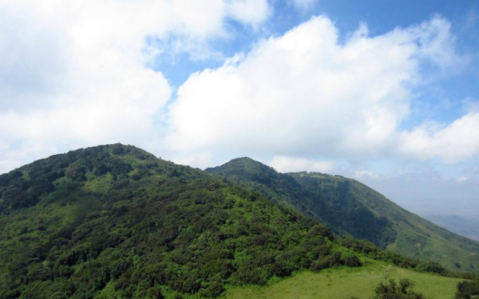 5 Things You Need To Know Before Buying A Plot In Ngong