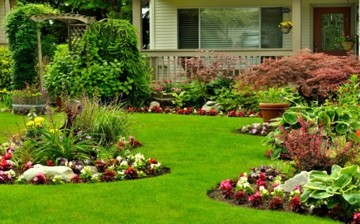 Simple Landscaping Ideas That You Can Implement for Your Plot
