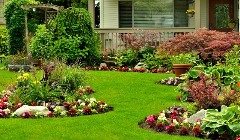 Simple Landscaping Ideas That You Can Implement for Your Plot