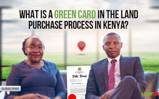 What Is a Green Card in the Land Purchase Process in Kenya?