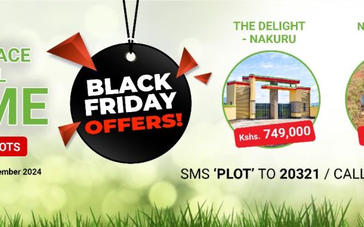Black November at Username Investment: The Biggest Offers of the Year for Aspiring Landowners