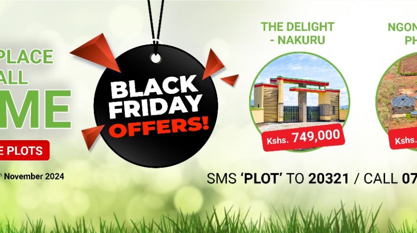 Black November at Username Investment: The Biggest Offers of the Year for Aspiring Landowners