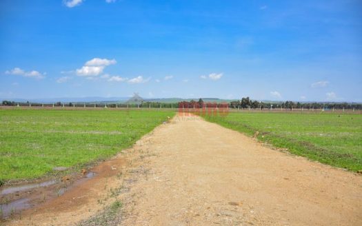 Havanna Estate Nakuru Phase 5