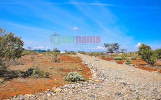 The Vineyard – Ngong