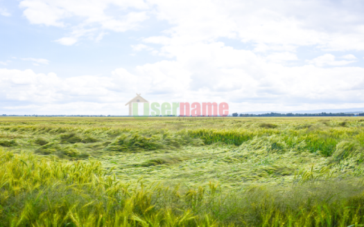Havanna Estate Nakuru Phase I
