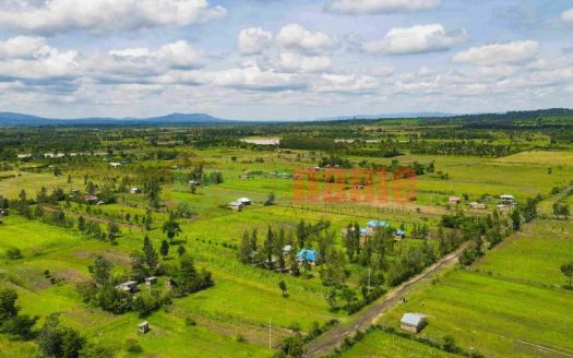 Bounty Gardens – Kangundo Road Phase 2